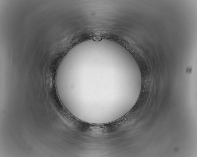 X0000091660703200709061021