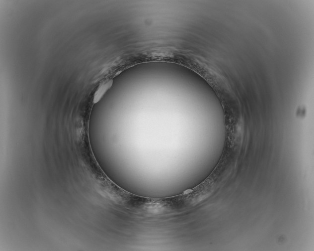 X0000091660704200709061020