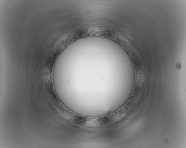 X0000091660705200709061020