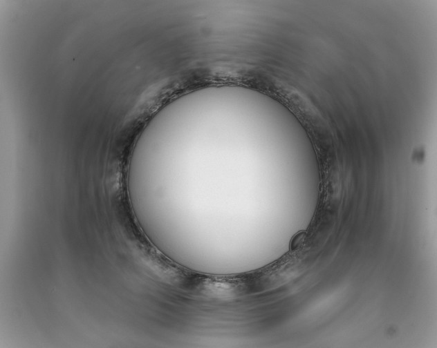 X0000091660706200709061020