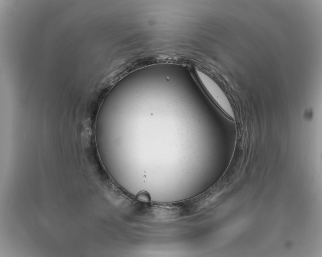 X0000091660707200709061020