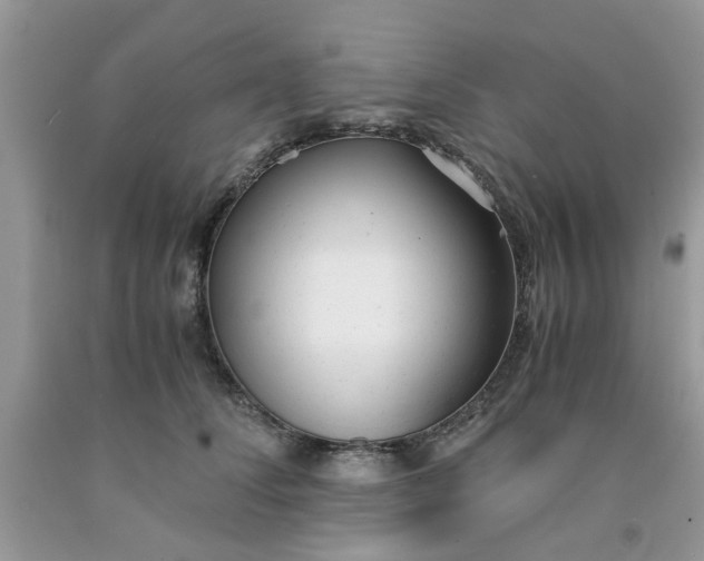 X0000091660708200709061020