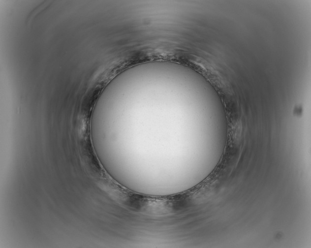 X0000091660709200709061020