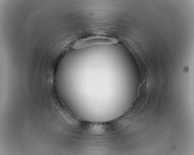 X0000091660710200709061020