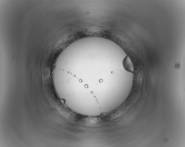 X0000091660711200709061020