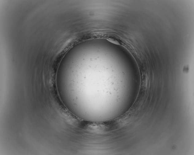 X0000091660712200709061020