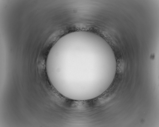 X0000091660713200709061020