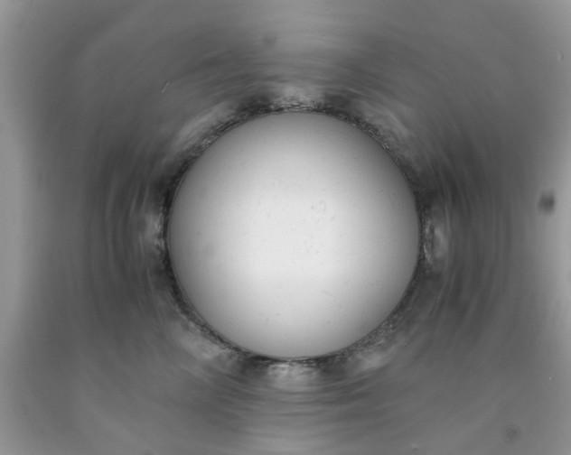 X0000091660714200709061020