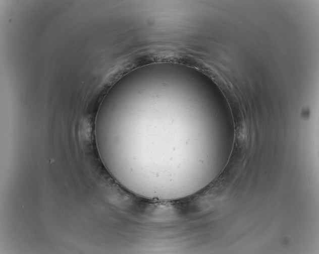 X0000091660715200709061020