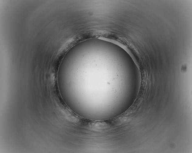 X0000091660716200709061020