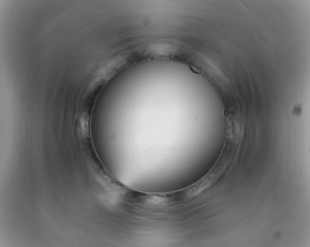 X0000091660718200709061020