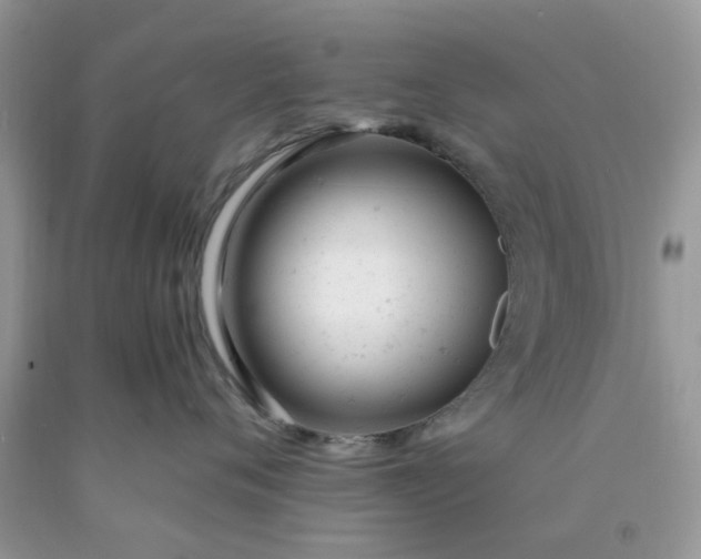 X0000091660720200709061020