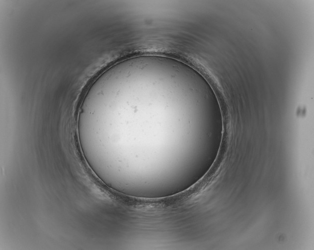 X0000091660721200709061020