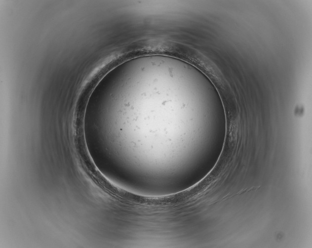 X0000091660722200709061020