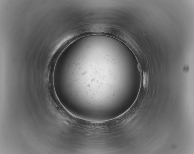 X0000091660723200709061020