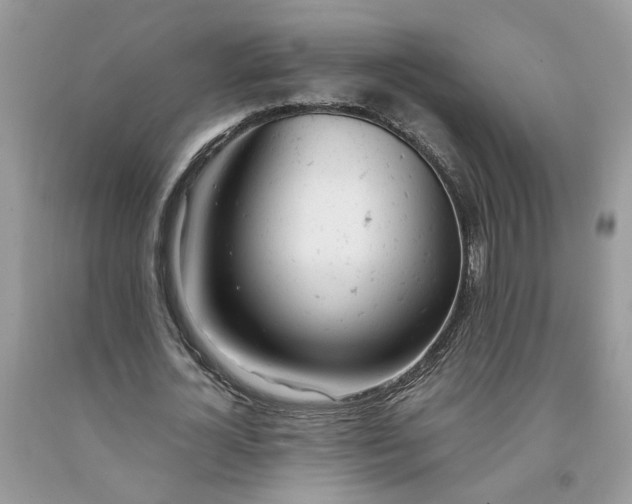 X0000091660724200709061020