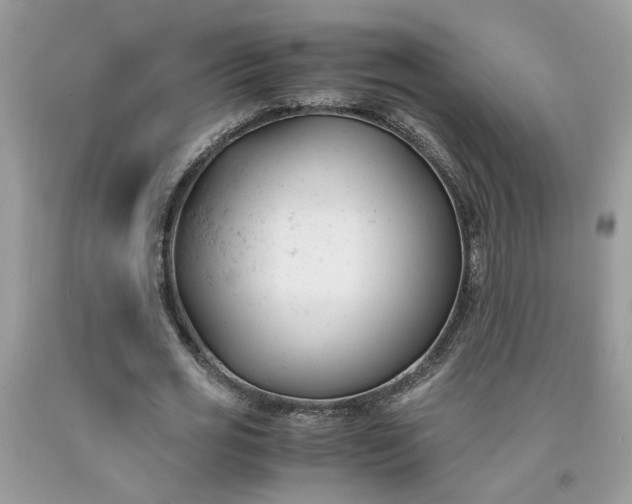 X0000091660725200709061020