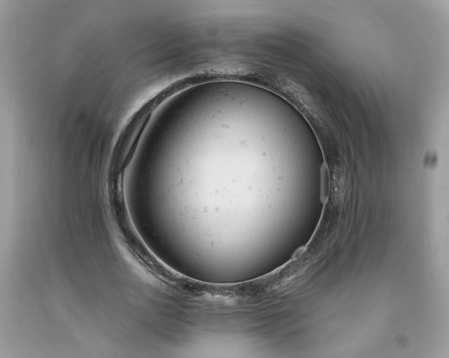 X0000091660726200709061020