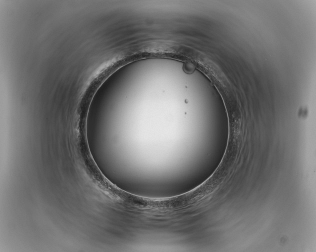 X0000091660727200709061020