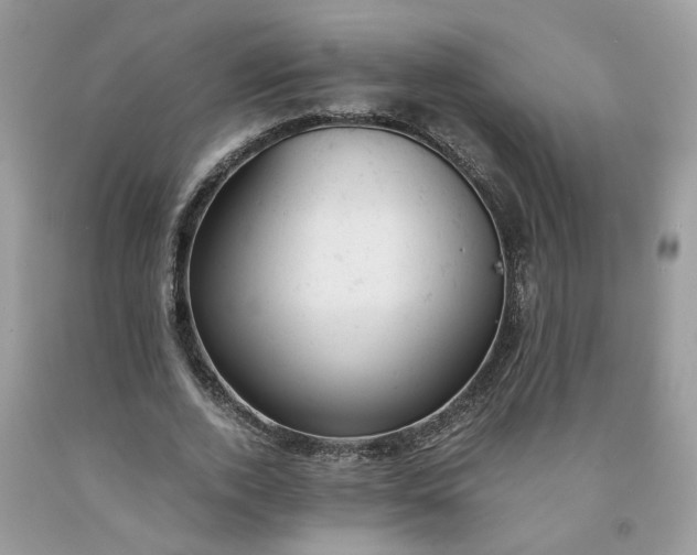 X0000091660728200709061020