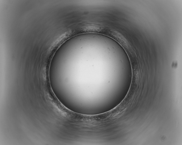 X0000091660729200709061020