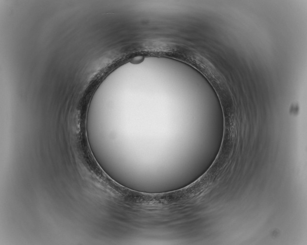 X0000091660731200709061020