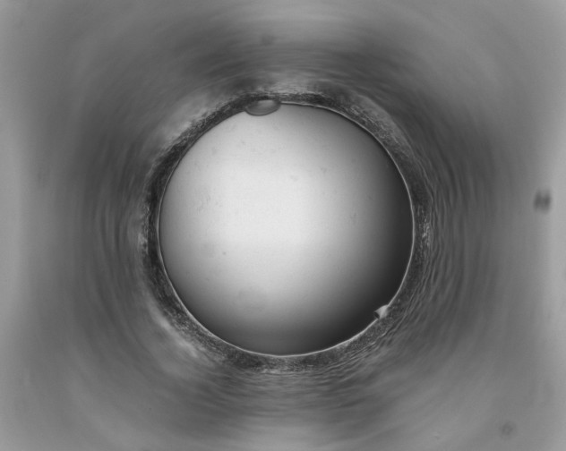 X0000091660732200709061020