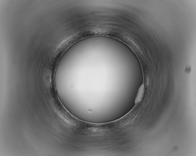 X0000091660733200709061020