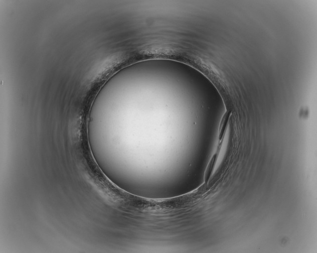 X0000091660735200709061020