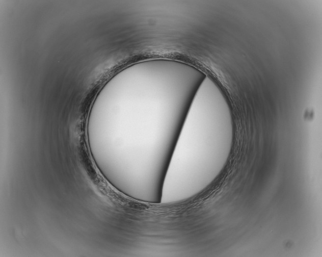 X0000091660736200709061020