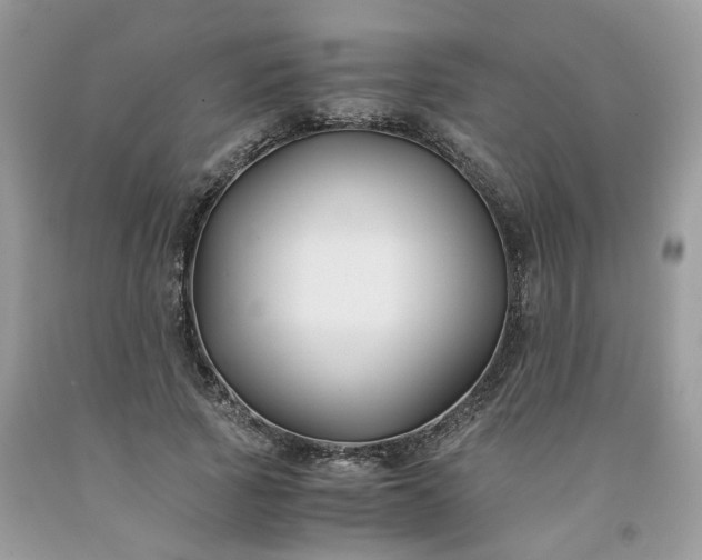 X0000091660737200709061020