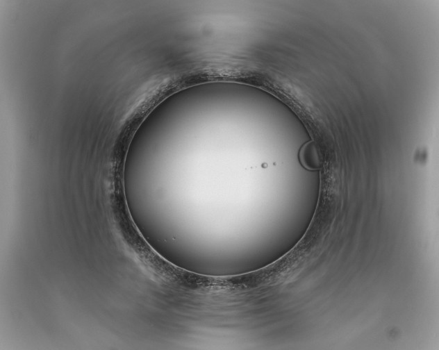 X0000091660738200709061020