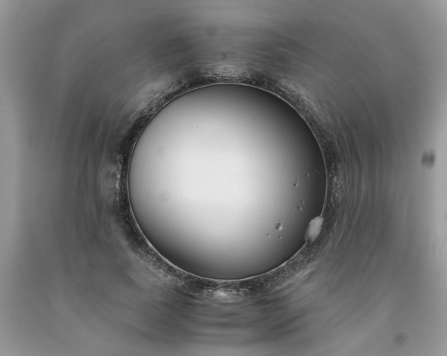 X0000091660739200709061020