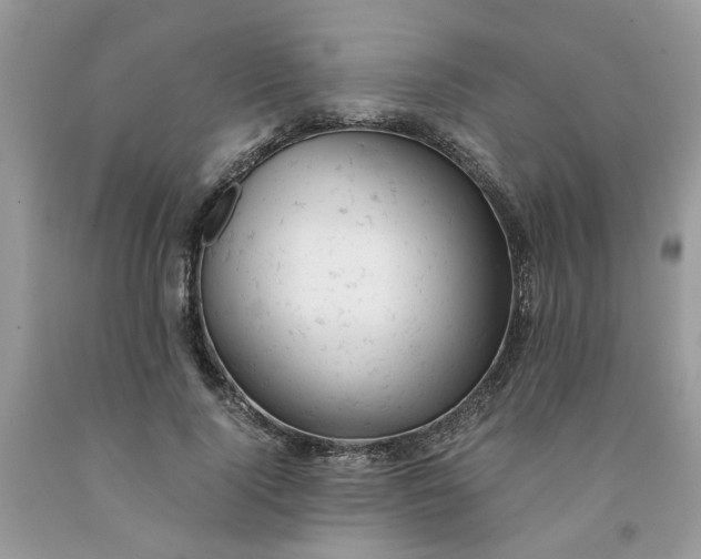 X0000091660740200709061020