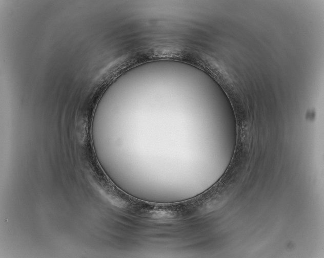 X0000091660741200709061020