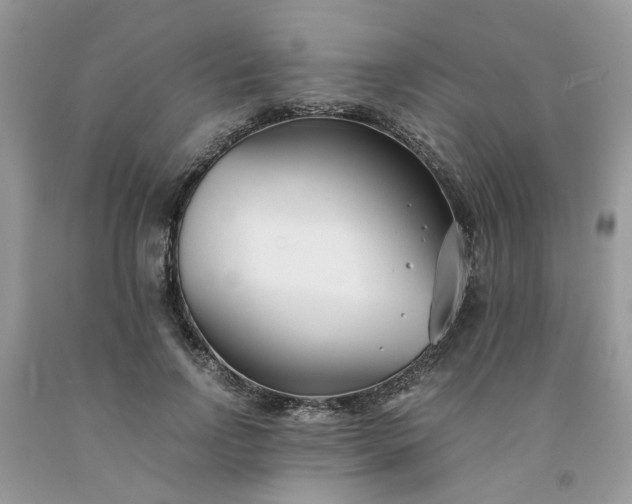 X0000091660742200709061020