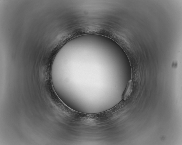 X0000091660743200709061020