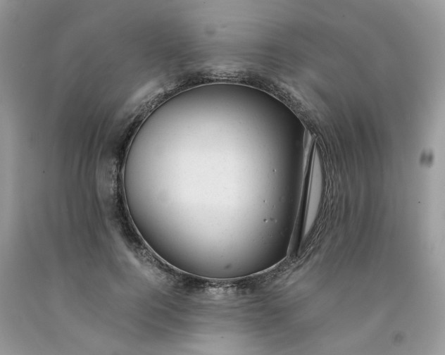 X0000091660744200709061020