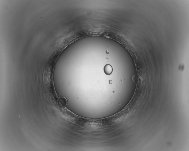 X0000091660745200709061020