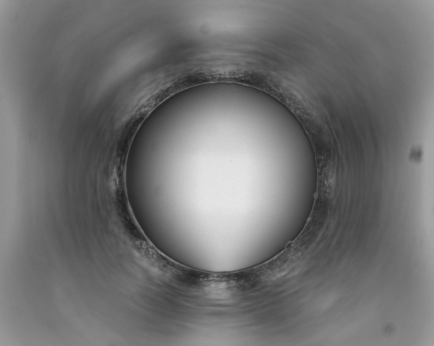 X0000091660746200709061020