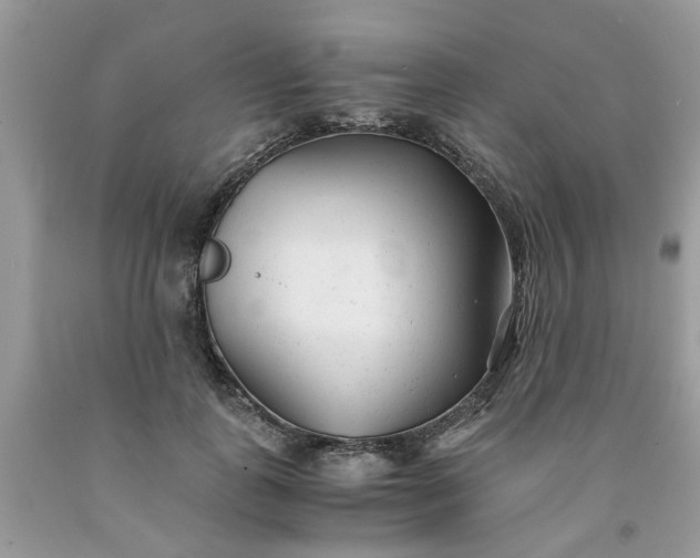 X0000091660747200709061020