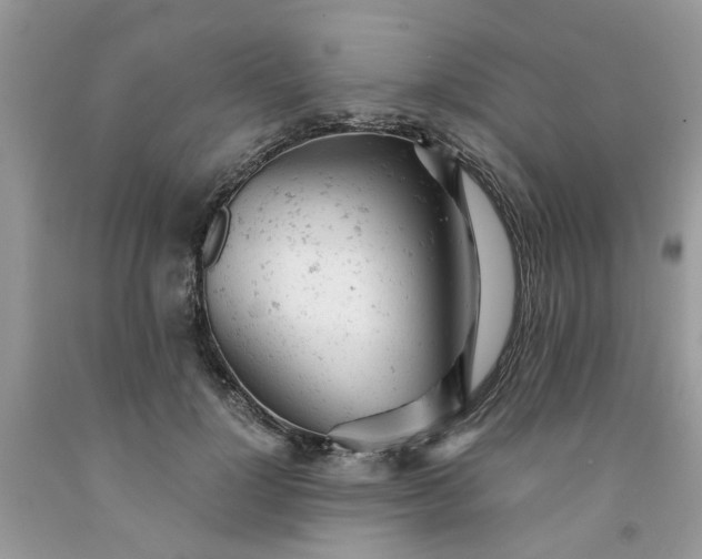 X0000091660748200709061020