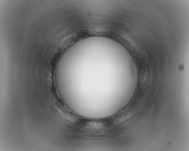 X0000091660749200709061020