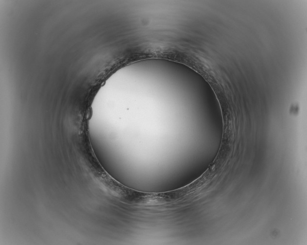 X0000091660750200709061020