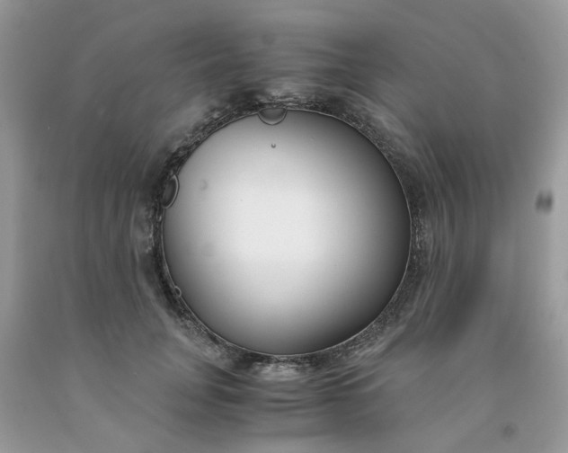 X0000091660751200709061020