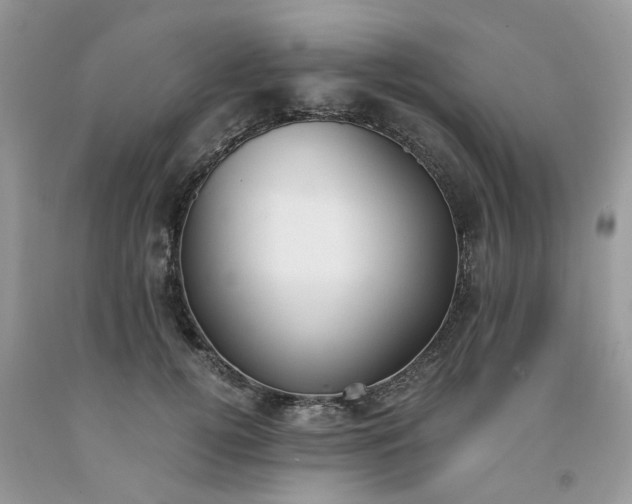 X0000091660752200709061020