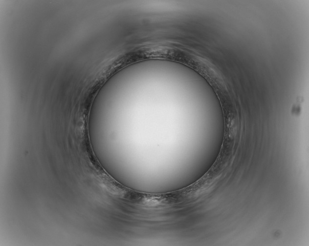 X0000091660753200709061020