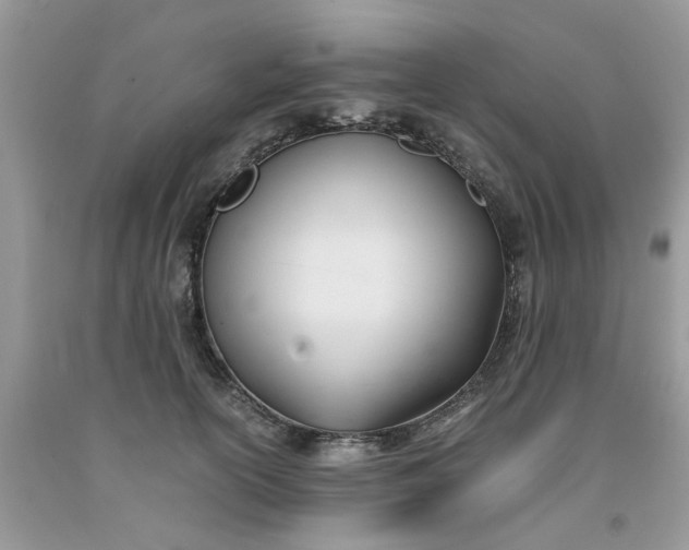 X0000091660754200709061020