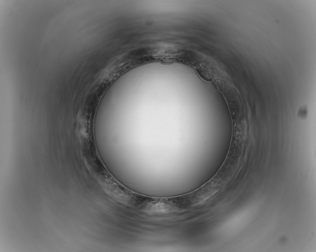 X0000091660755200709061020