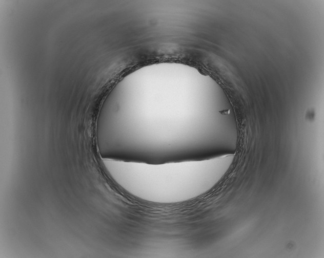 X0000091660756200709061020